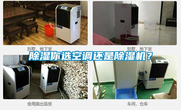 除濕你選空調(diào)還是除濕機(jī)？
