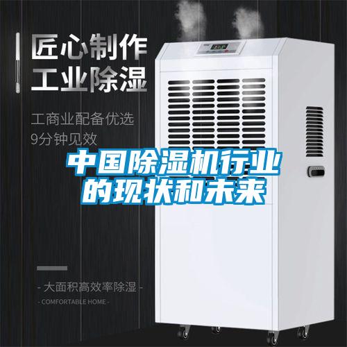 中國(guó)除濕機(jī)行業(yè)的現(xiàn)狀和未來(lái)