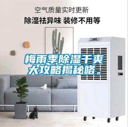 梅雨季除濕干爽大攻略揭秘咯。