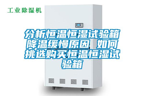 分析恒溫恒濕試驗(yàn)箱降溫緩慢原因 如何挑選購(gòu)買(mǎi)恒溫恒濕試驗(yàn)箱