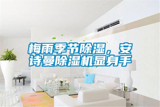 梅雨季節(jié)除濕，安詩曼除濕機(jī)顯身手