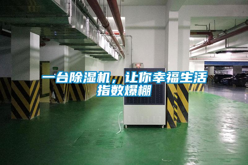 一臺(tái)除濕機(jī)，讓你幸福生活指數(shù)爆棚
