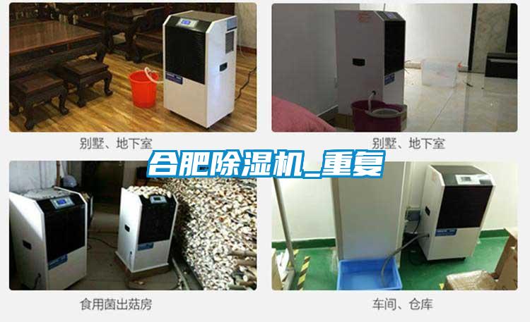 合肥除濕機_重復(fù)