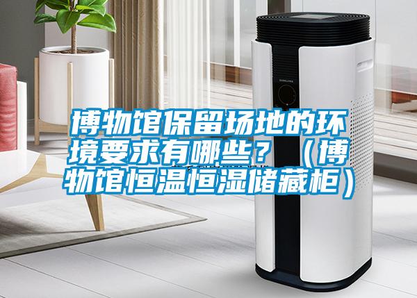 博物館保留場(chǎng)地的環(huán)境要求有哪些？（博物館恒溫恒濕儲(chǔ)藏柜）