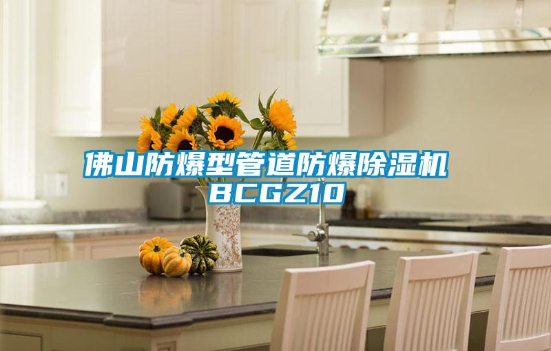 佛山防爆型管道防爆除濕機 BCGZ10
