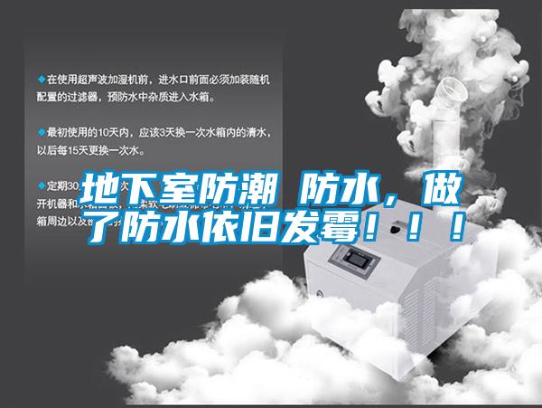 地下室防潮≠防水，做了防水依舊發(fā)霉?。?！
