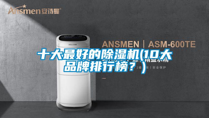 十大最好的除濕機(jī)(10大品牌排行榜？)