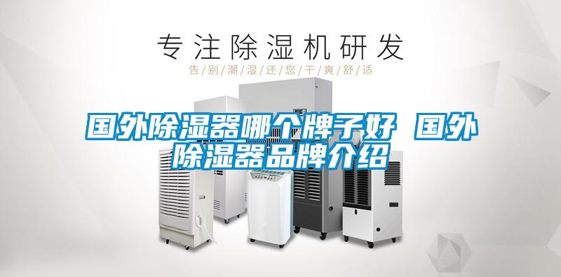 國外除濕器哪個牌子好 國外除濕器品牌介紹