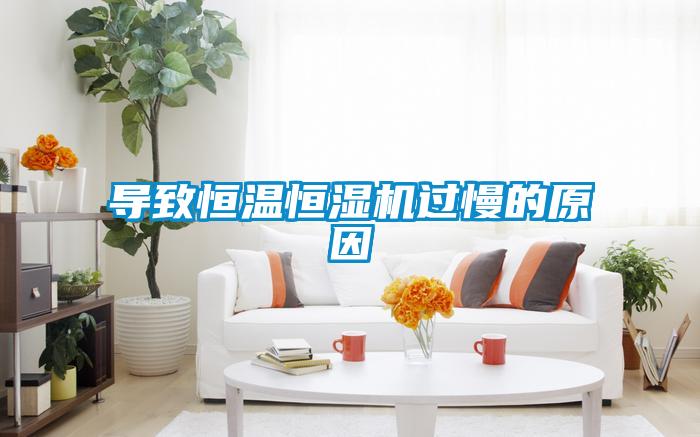 導(dǎo)致恒溫恒濕機(jī)過慢的原因