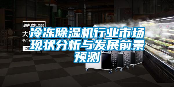 冷凍除濕機行業(yè)市場現(xiàn)狀分析與發(fā)展前景預(yù)測