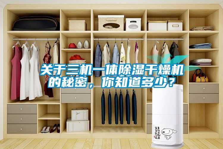 關(guān)于三機(jī)一體除濕干燥機(jī)的秘密，你知道多少？