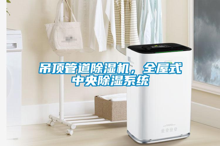 吊頂管道除濕機(jī)，全屋式中央除濕系統(tǒng)