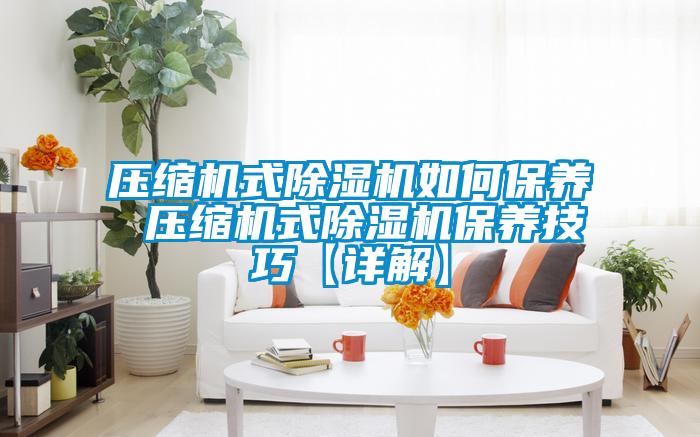 壓縮機(jī)式除濕機(jī)如何保養(yǎng) 壓縮機(jī)式除濕機(jī)保養(yǎng)技巧【詳解】