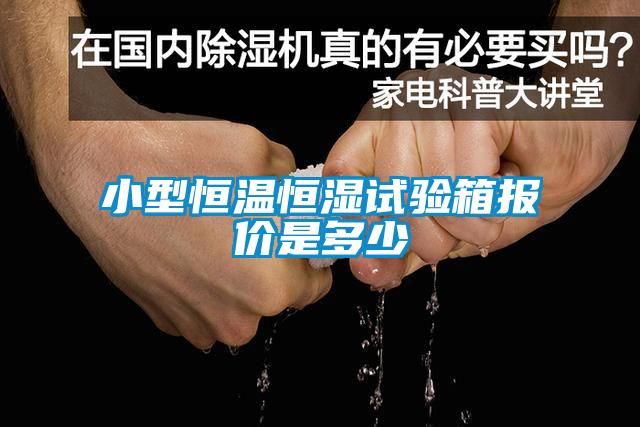 小型恒溫恒濕試驗(yàn)箱報(bào)價(jià)是多少