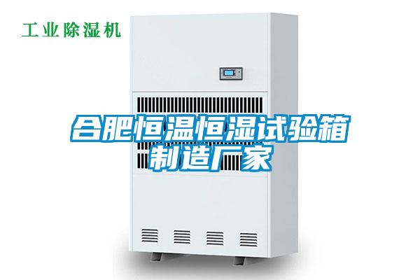 合肥恒溫恒濕試驗(yàn)箱制造廠家
