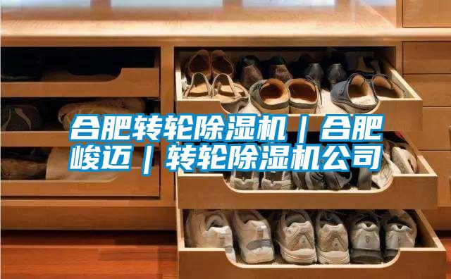 合肥轉(zhuǎn)輪除濕機｜合肥峻邁｜轉(zhuǎn)輪除濕機公司