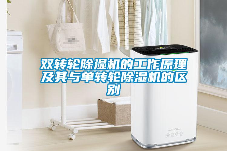 雙轉(zhuǎn)輪除濕機的工作原理及其與單轉(zhuǎn)輪除濕機的區(qū)別