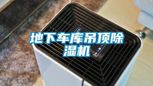地下車庫吊頂除濕機(jī)