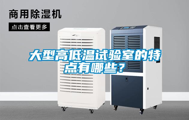 大型高低溫試驗(yàn)室的特點(diǎn)有哪些？