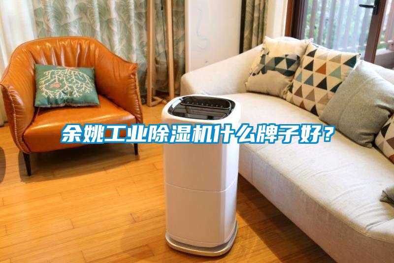 余姚工業(yè)除濕機(jī)什么牌子好？