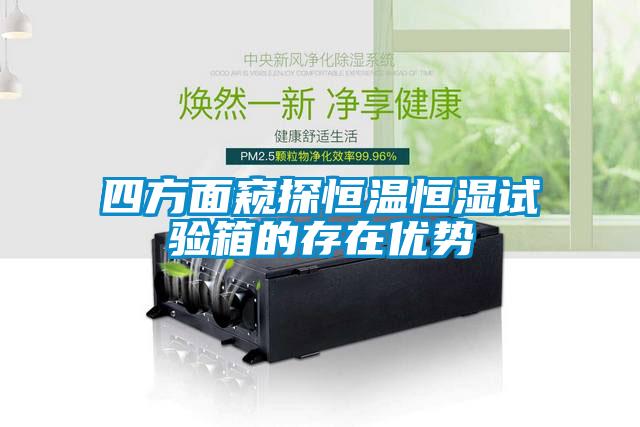 四方面窺探恒溫恒濕試驗(yàn)箱的存在優(yōu)勢(shì)