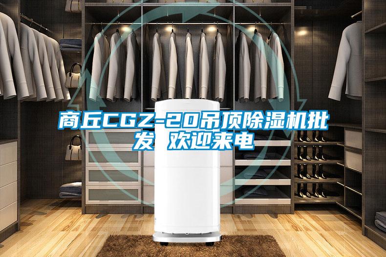 商丘CGZ-20吊頂除濕機(jī)批發(fā) 歡迎來(lái)電