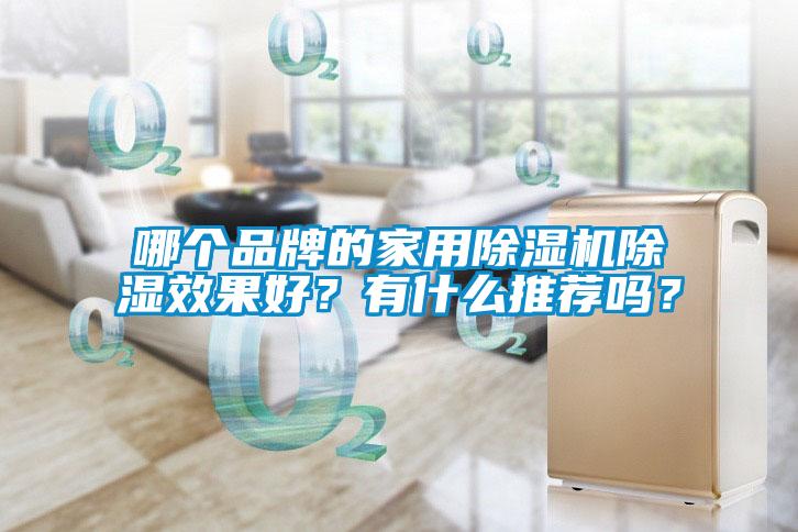 哪個(gè)品牌的家用除濕機(jī)除濕效果好？有什么推薦嗎？