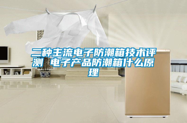 二種主流電子防潮箱技術評測 電子產(chǎn)品防潮箱什么原理