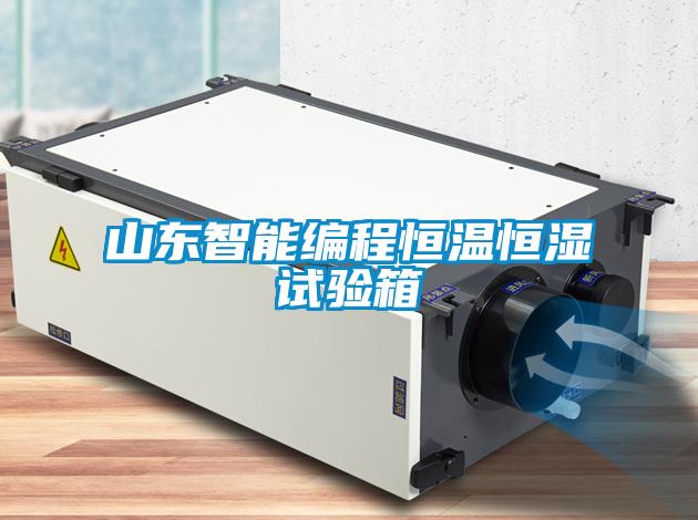 山東智能編程恒溫恒濕試驗箱