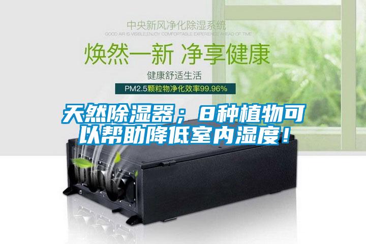 天然除濕器；8種植物可以幫助降低室內(nèi)濕度！