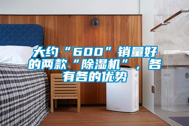 大約“600”銷量好的兩款“除濕機”，各有各的優(yōu)勢