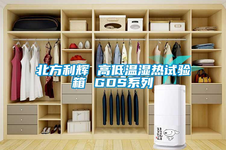 北方利輝 高低溫濕熱試驗(yàn)箱 GDS系列