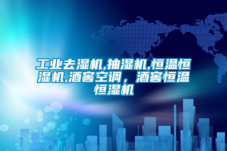 工業(yè)去濕機,抽濕機,恒溫恒濕機,酒窖空調(diào)，酒窖恒溫恒濕機
