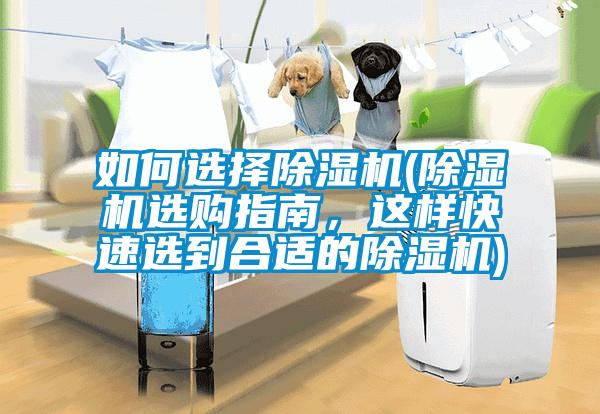 如何選擇除濕機(jī)(除濕機(jī)選購指南，這樣快速選到合適的除濕機(jī))