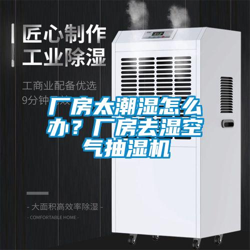 廠房太潮濕怎么辦？廠房去濕空氣抽濕機