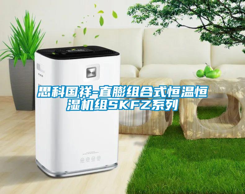 思科國祥-直膨組合式恒溫恒濕機組SKFZ系列