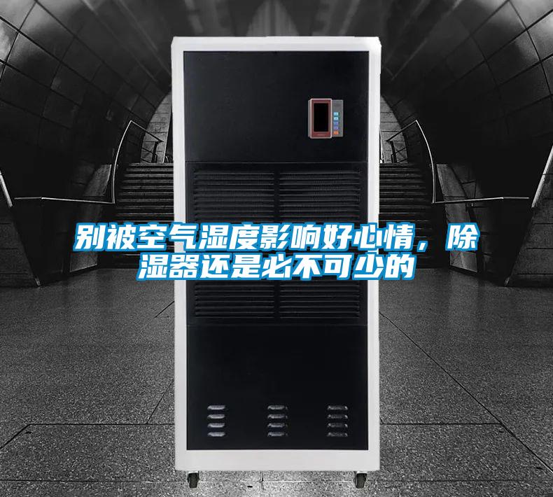 別被空氣濕度影響好心情，除濕器還是必不可少的