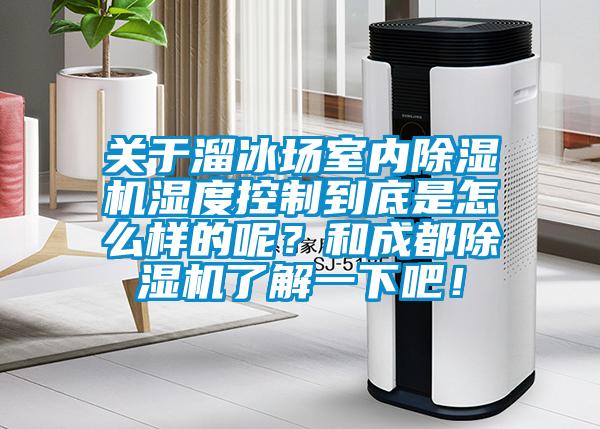 關(guān)于溜冰場(chǎng)室內(nèi)除濕機(jī)濕度控制到底是怎么樣的呢？和成都除濕機(jī)了解一下吧！