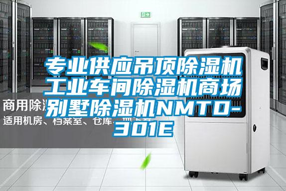 專業(yè)供應(yīng)吊頂除濕機(jī)工業(yè)車間除濕機(jī)商場別墅除濕機(jī)NMTD-301E