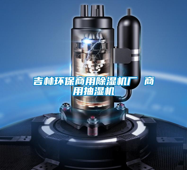吉林環(huán)保商用除濕機(jī)廠 商用抽濕機(jī)