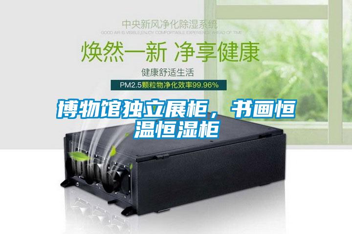 博物館獨(dú)立展柜，書畫恒溫恒濕柜