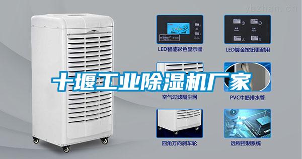 十堰工業(yè)除濕機(jī)廠家
