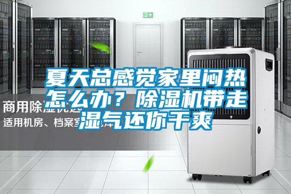 夏天總感覺家里悶熱怎么辦？除濕機帶走濕氣還你干爽