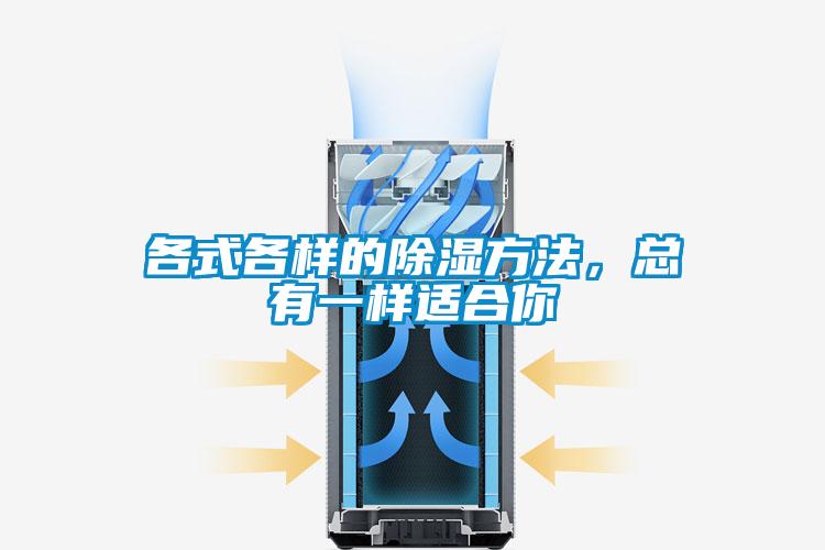 各式各樣的除濕方法，總有一樣適合你