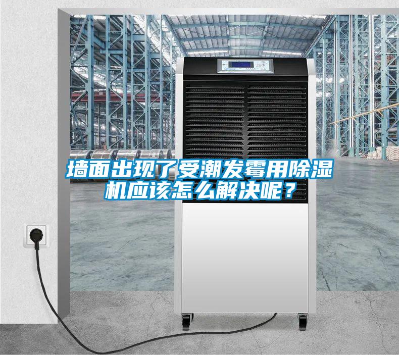 墻面出現(xiàn)了受潮發(fā)霉用除濕機應(yīng)該怎么解決呢？