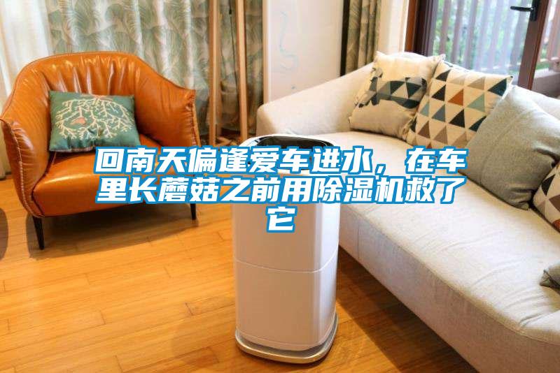 回南天偏逢愛車進(jìn)水，在車?yán)镩L蘑菇之前用除濕機(jī)救了它