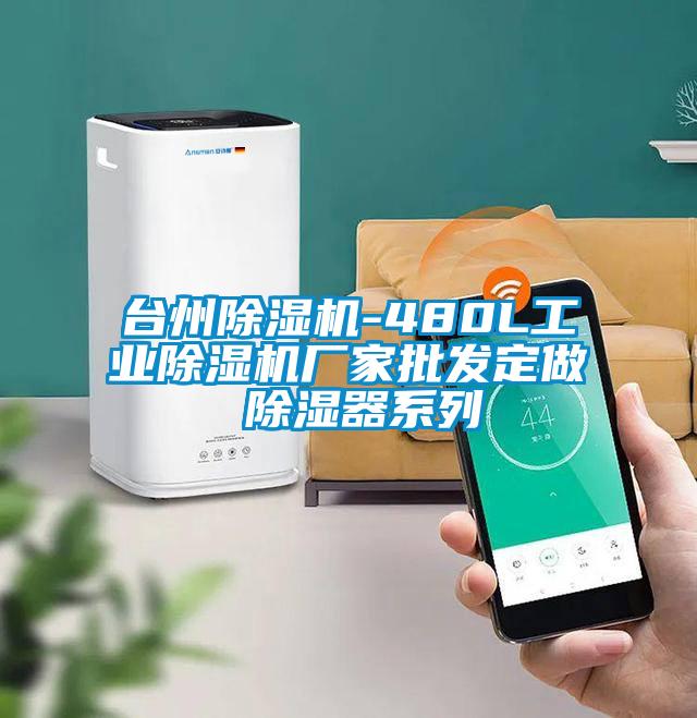臺州除濕機(jī)-480L工業(yè)除濕機(jī)廠家批發(fā)定做 除濕器系列