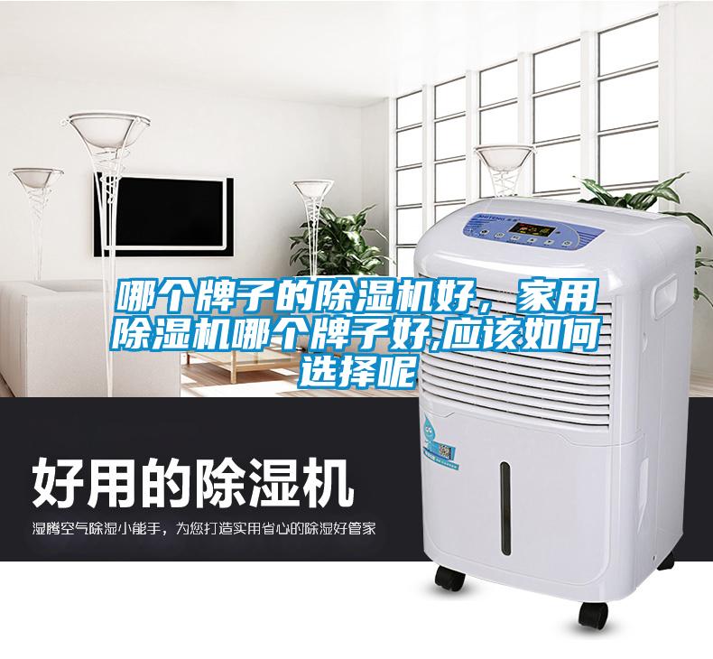 哪個(gè)牌子的除濕機(jī)好，家用除濕機(jī)哪個(gè)牌子好,應(yīng)該如何選擇呢