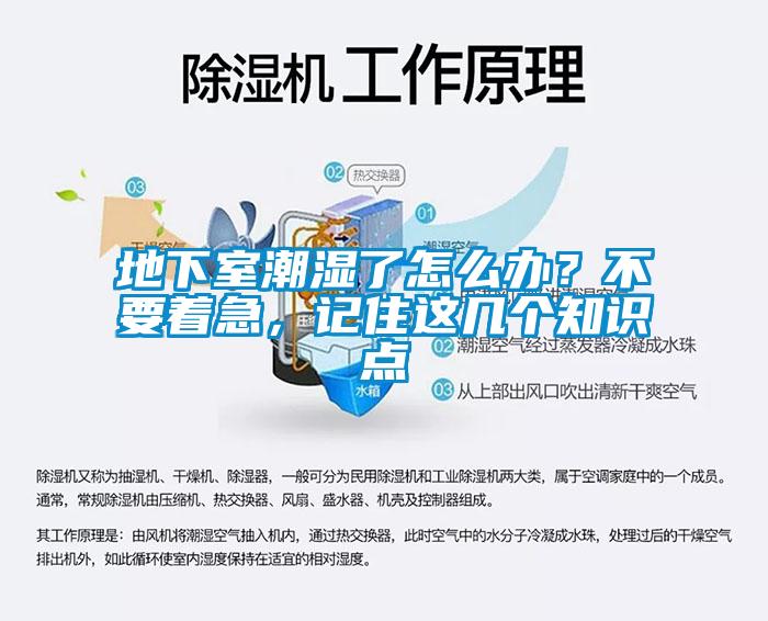 地下室潮濕了怎么辦？不要著急，記住這幾個(gè)知識(shí)點(diǎn)