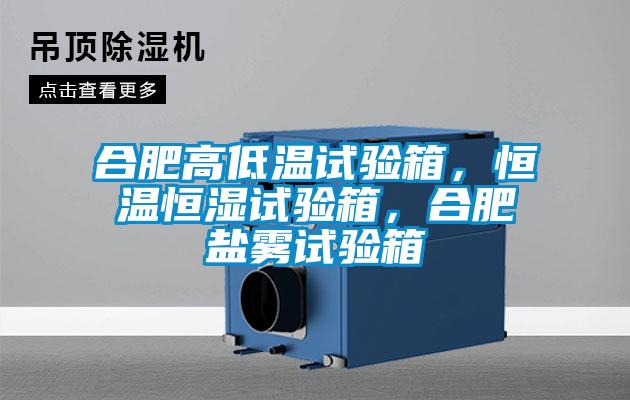 合肥高低溫試驗(yàn)箱，恒溫恒濕試驗(yàn)箱，合肥鹽霧試驗(yàn)箱
